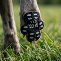 Paw Defense Pads