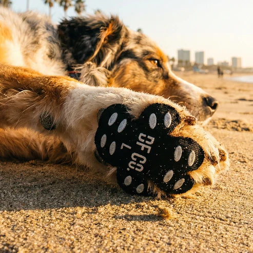 Paw Defense Pads
