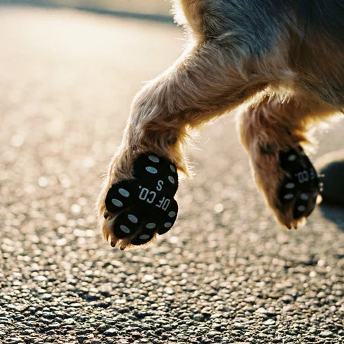 Paw Defense Pads