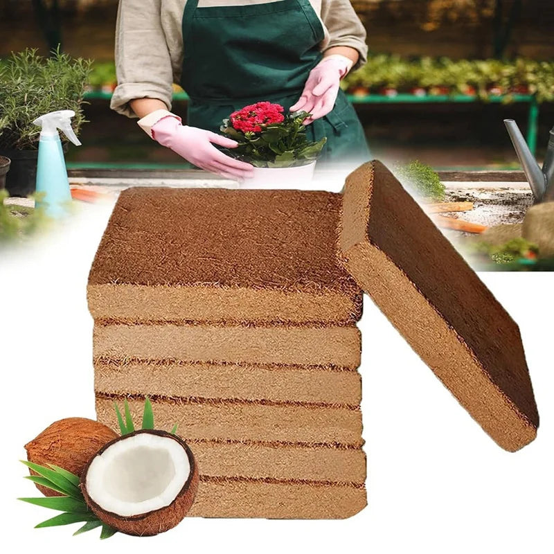 Organic Coconut Coir Plant Bricks