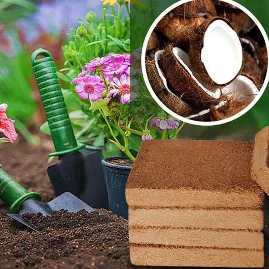 Organic Coconut Coir Plant Bricks